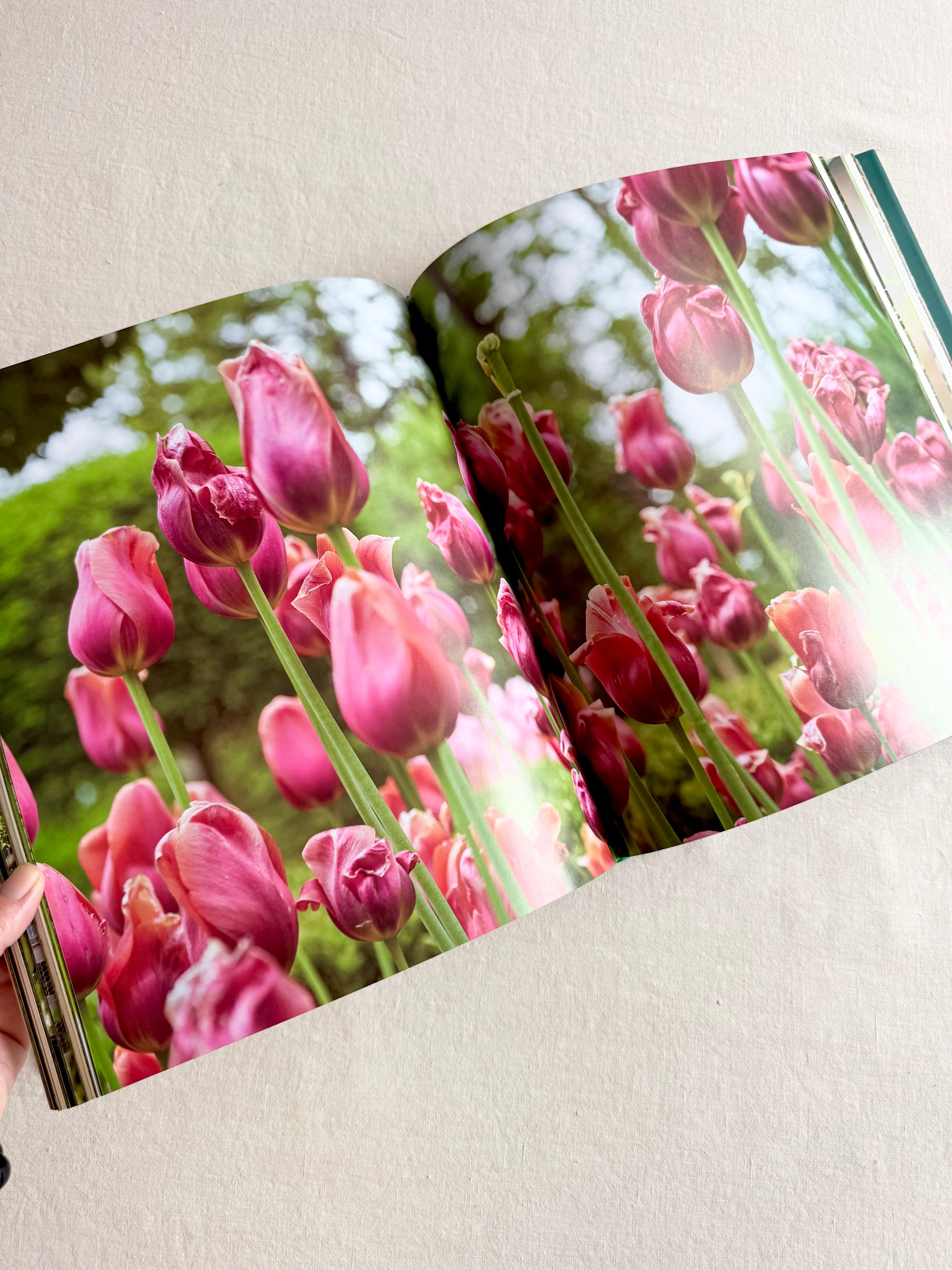 Bunny Williams: Life Garden- Art Book - Image 5