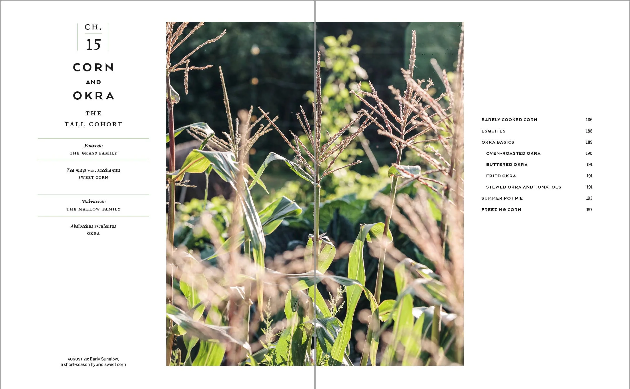 The Cook's Garden - Cookbook - Image 5