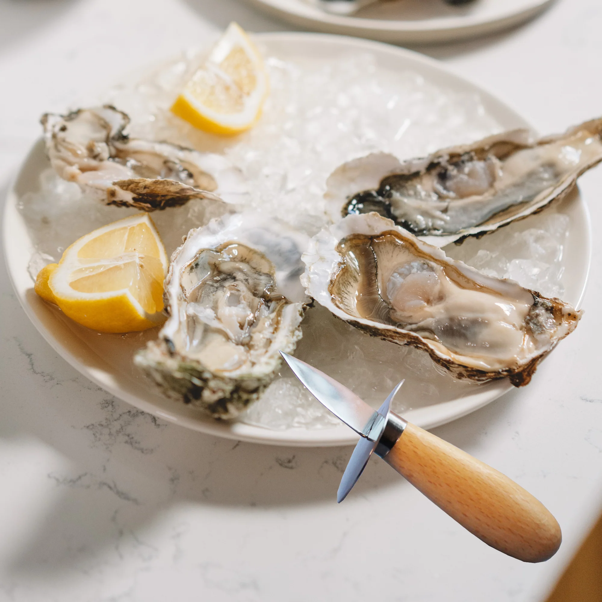 French Oyster Knife - Image 4