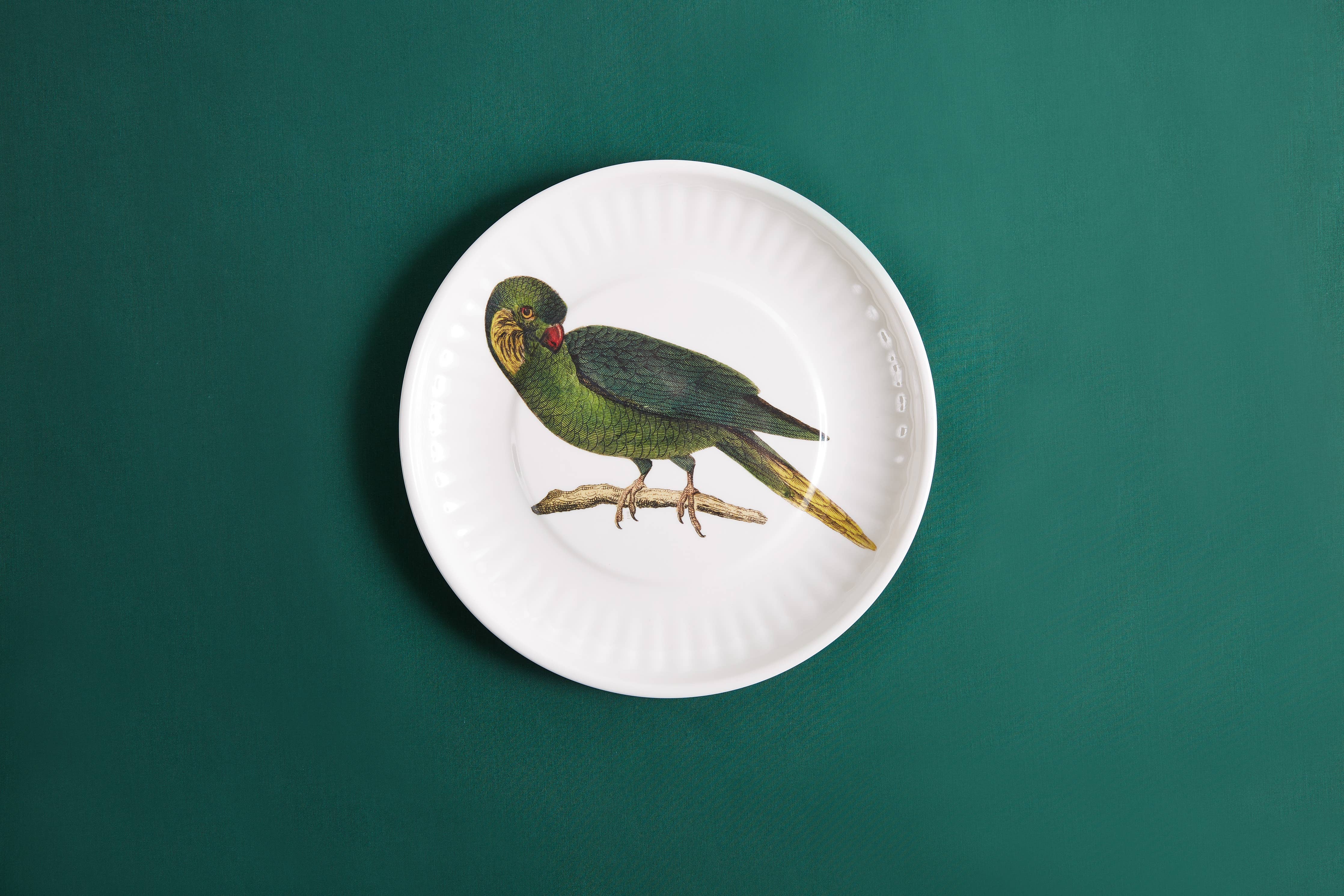 Parrot Melamine Dinner Plates -  S/4 - Image 5