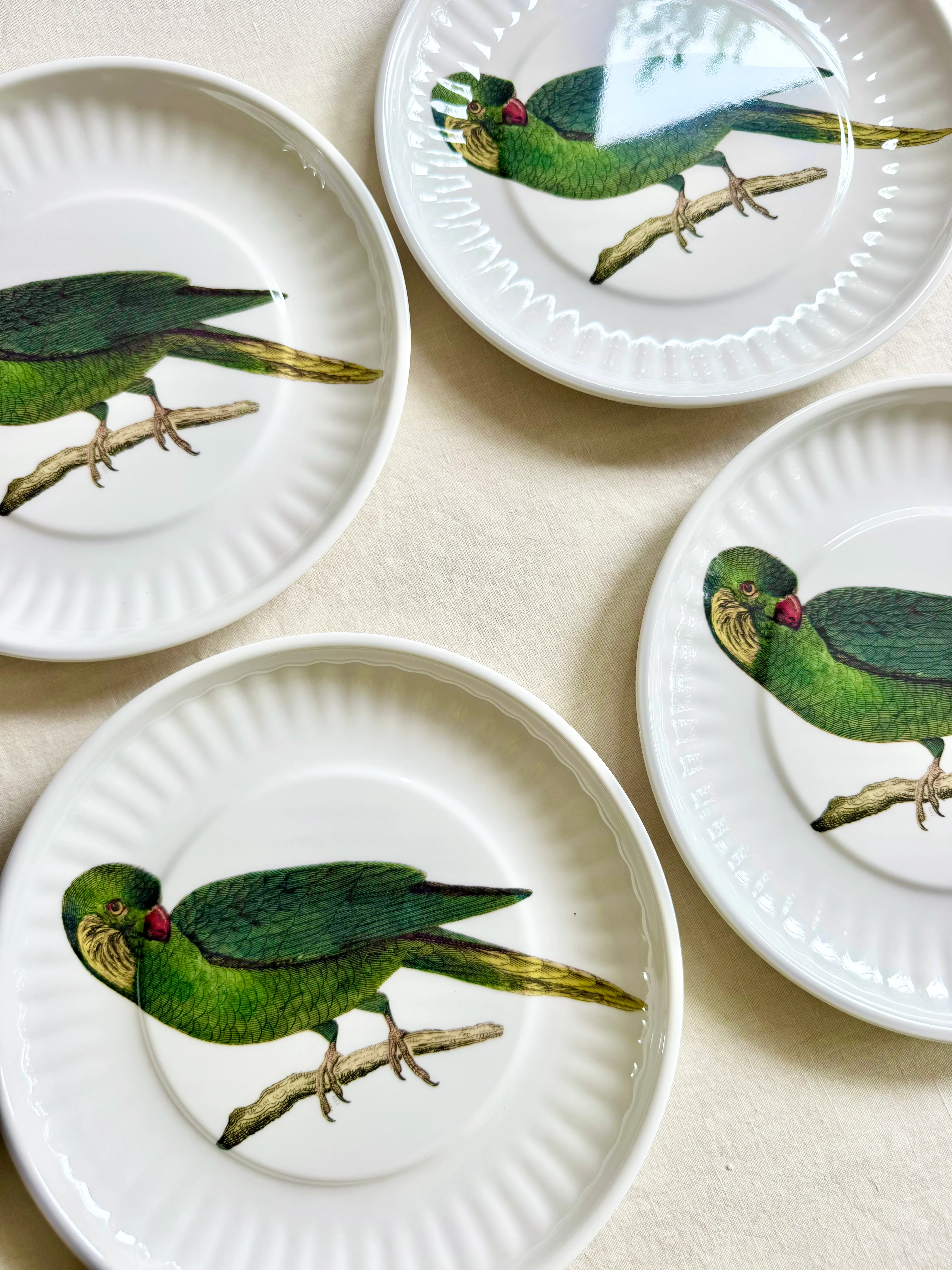 Parrot Melamine Dinner Plates -  S/4 - Image 8