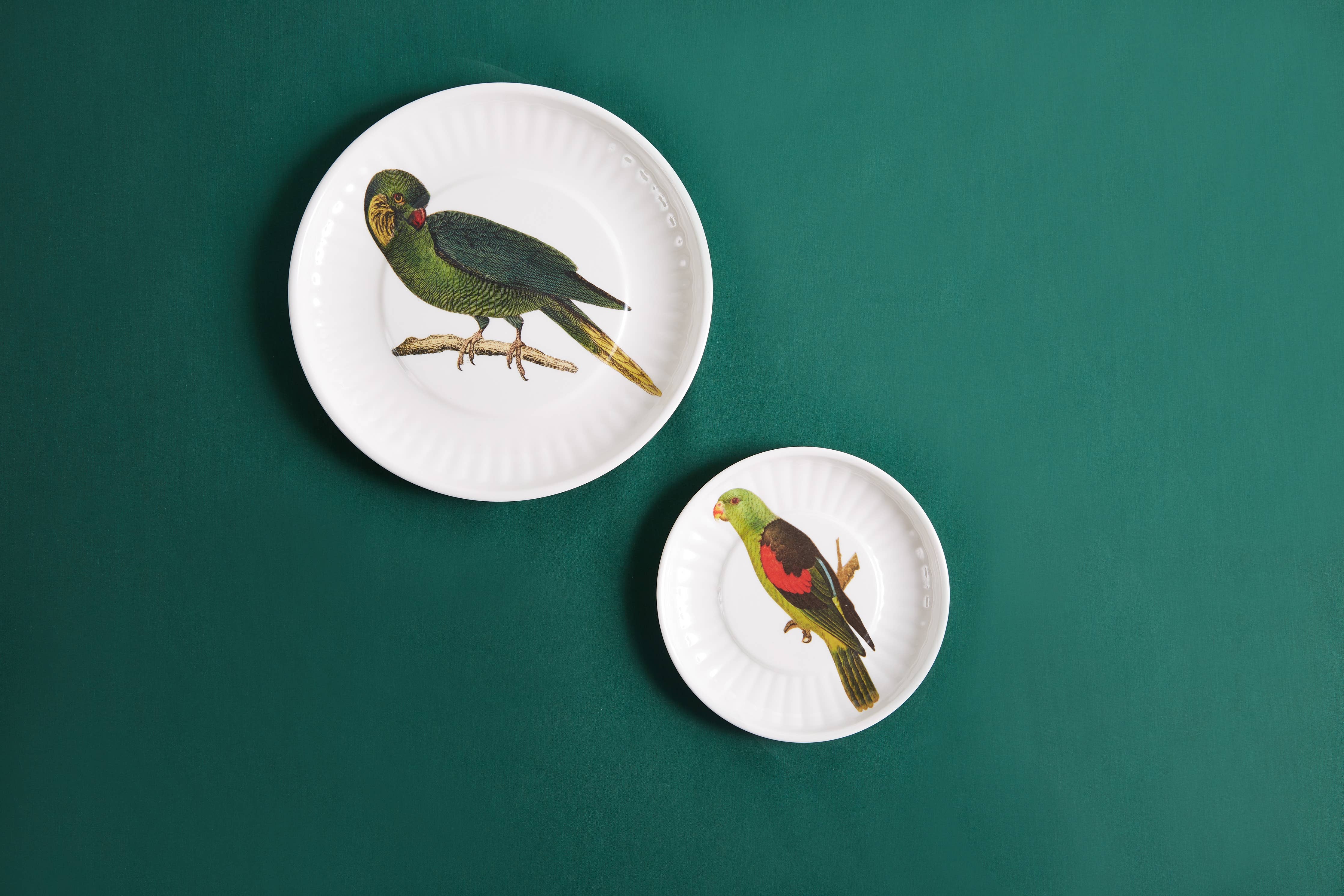Parrot Melamine Fruit Plates - S/4 - Image 6