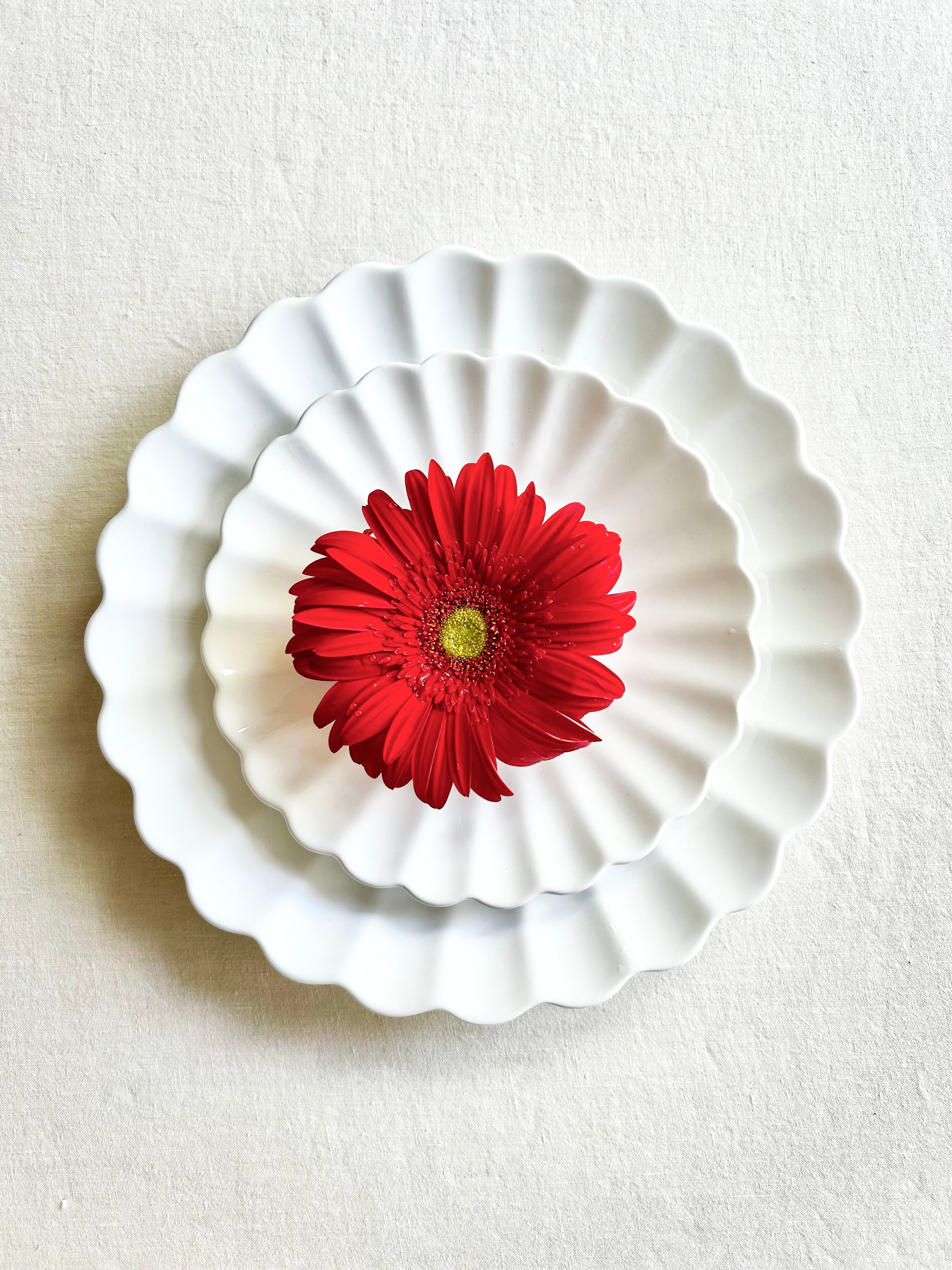 Oyster Dinnerware - White - S/4 - Image 3