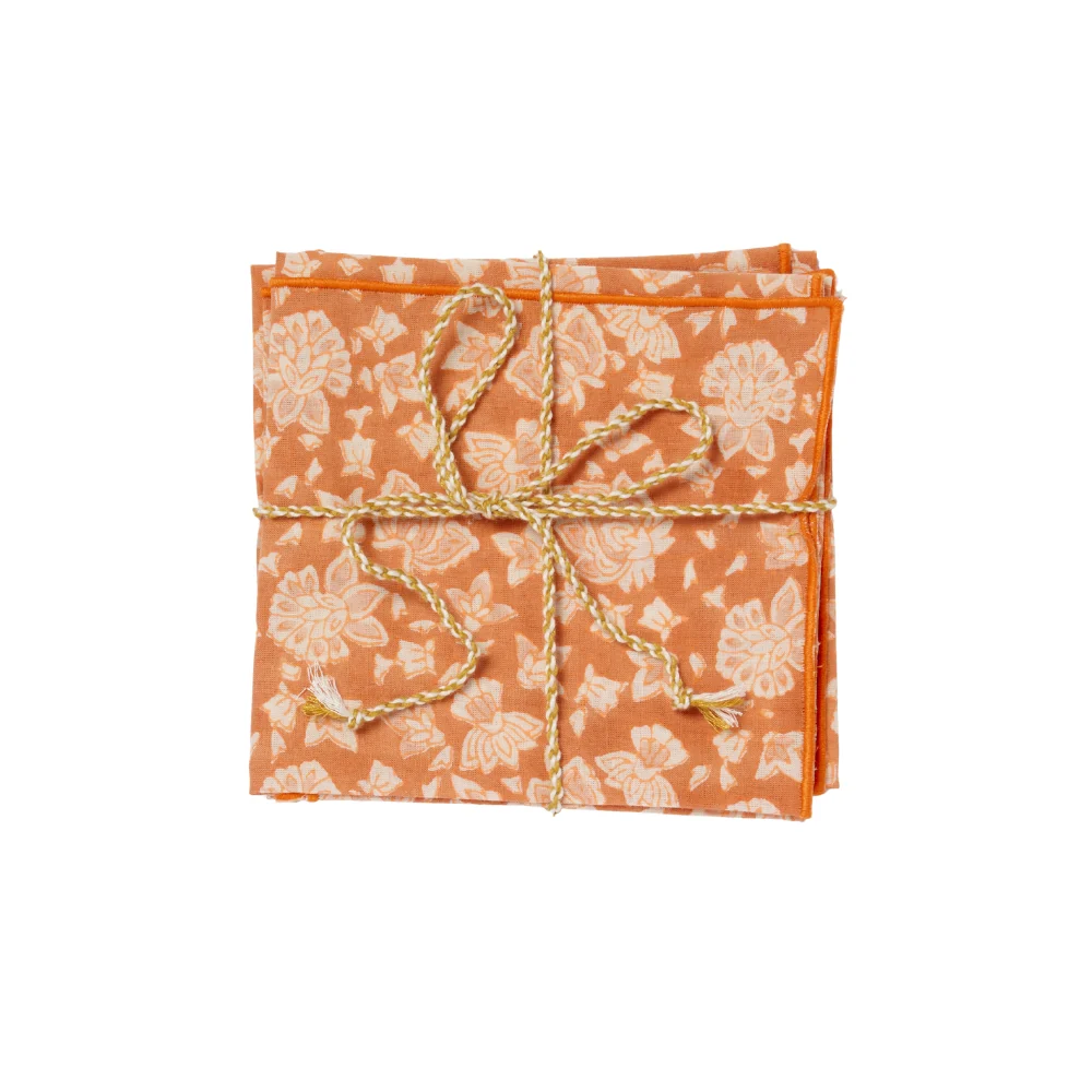 Arushi Napkins - Pumpkin - S/2 - Image 3